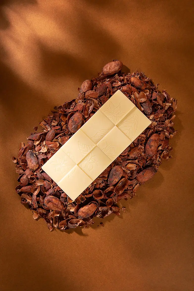 bean to bar chocolate program