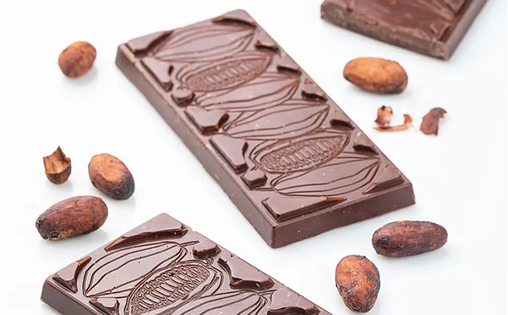 bean to bar chocolate program in india